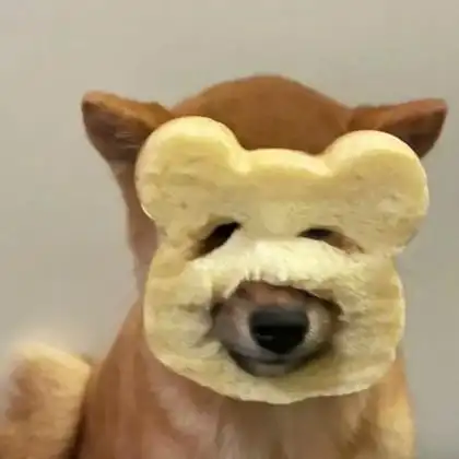 小动物情侣头像呆萌一对 高清可爱的情侣头像萌宠一人一半图片_情侣