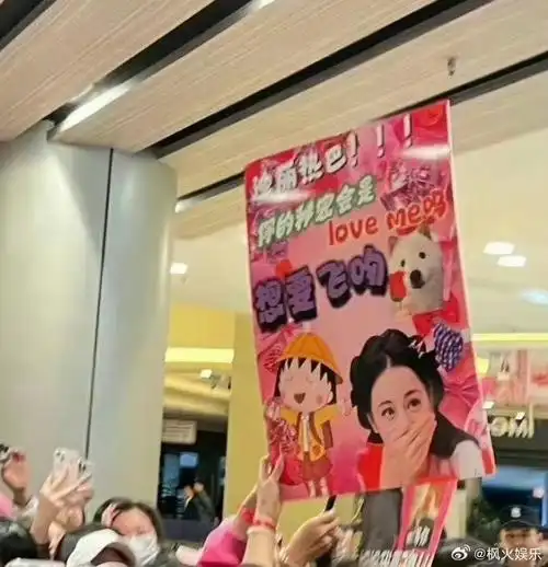 迪丽热巴粉丝土味应援海报##迪丽热巴一面镜子七套造型