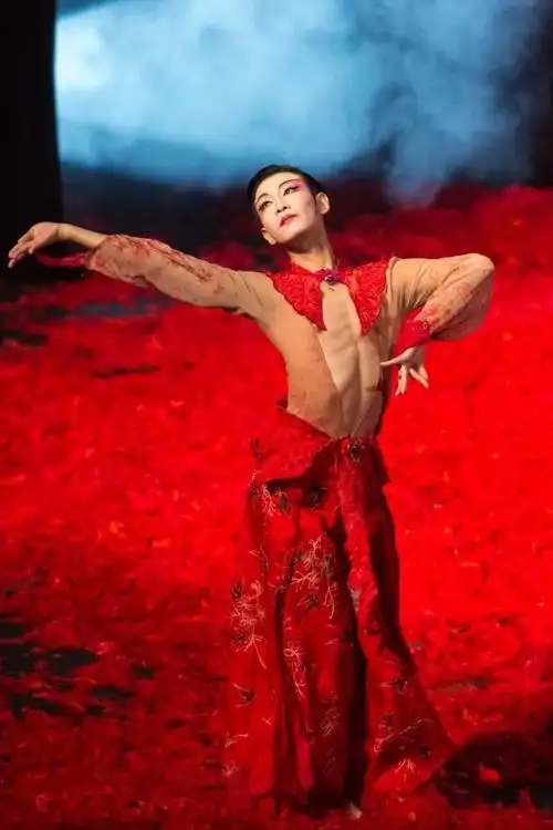 悲剧之美——《十面埋伏》舞剧的金戈铁马和侠骨柔情(十面埋伏)剧评