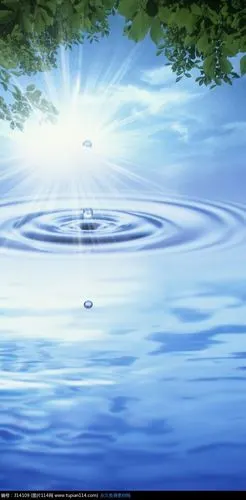 树叶滴下水滴入水的一瞬