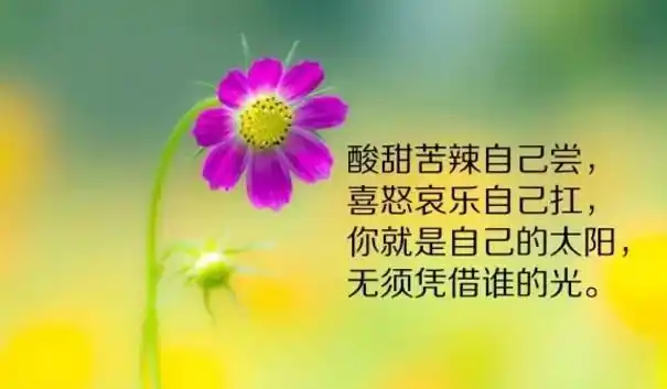 激励人心短句十字以内奋发图强的励志句子十字以内