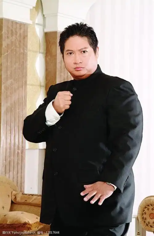 功夫代言洪金宝图片
