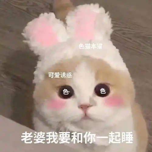 1229贴贴老婆表情包