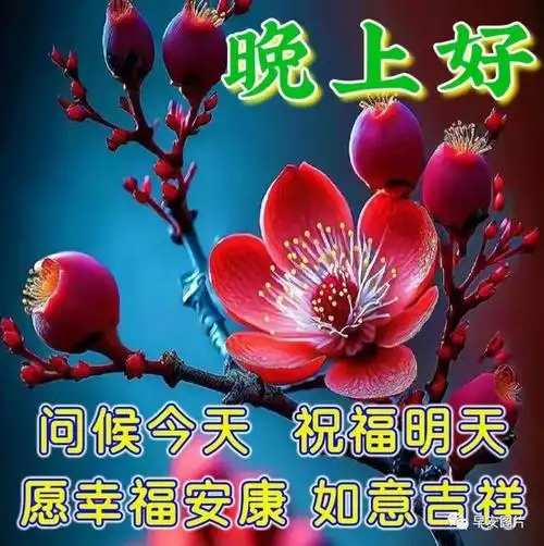 2023最新晚上好祝福图片愿你晚安好梦
