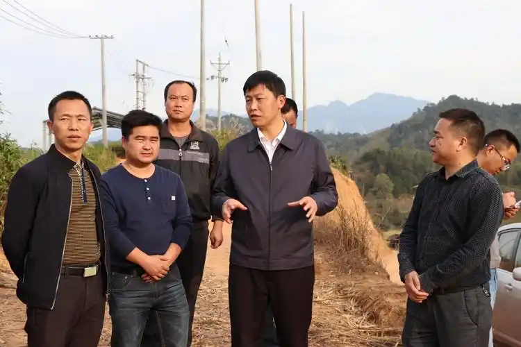 县长陈显卿深入伊家乡调研指导乡村振兴工作