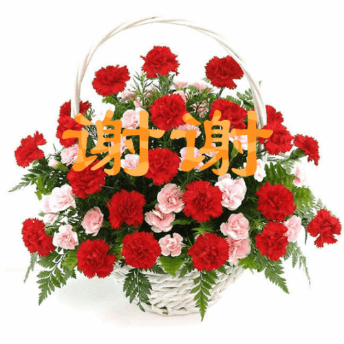 520_520gif 动态图 动图