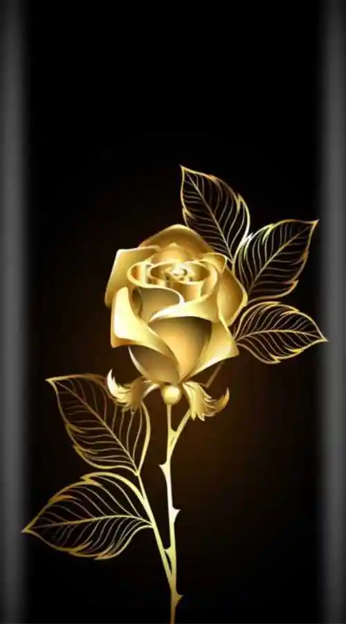 给你们做曲屏效果的壁纸 - 第2页 - 华为mate9系列主题美化 花粉