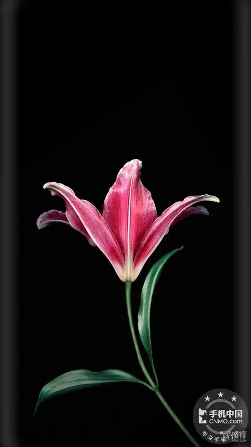 分享收集的100张曲屏壁纸,需要的拿走.