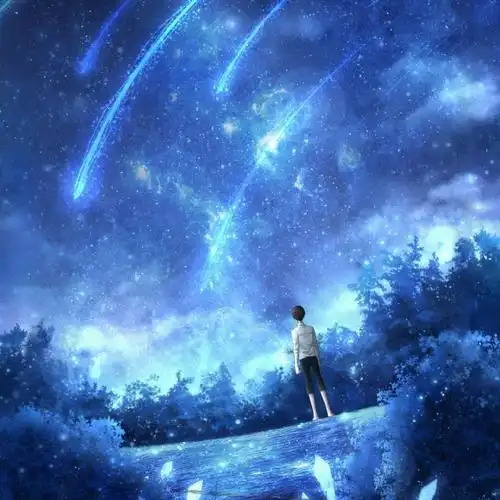 星空的二次元情侣头像_头像图片_扣扣乐园