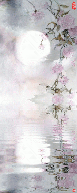 300_752竖版 竖屏gif 动态图 动图