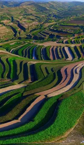 定西市安定区:黄土高原生态建设的典范