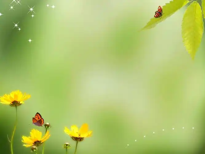 精选清新养眼的ppt课件背景图片大全分享!-第5页-猴子技术宅