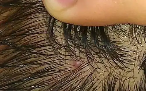 萌鸡小队萌闯新世界电影在线完整观看免费完整版1080p超清中字