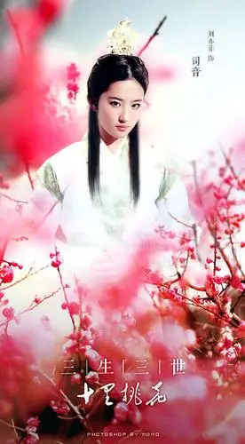 刘亦菲 三生三世十里桃花 饭制司音