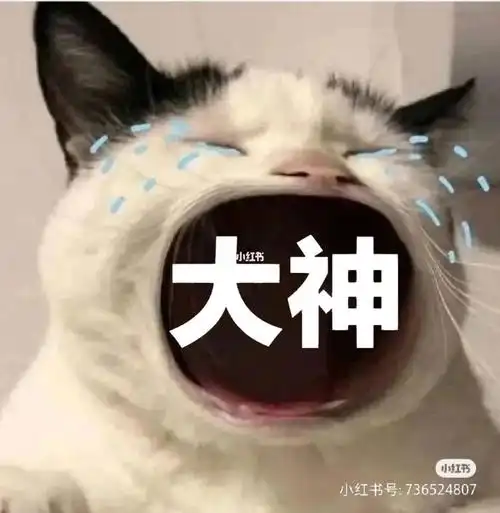 求求一位大神帮我