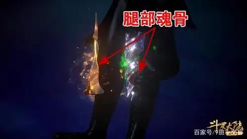 斗罗:大师普及魂骨知识,意外曝出唐三是"挂王",这暗示真打脸