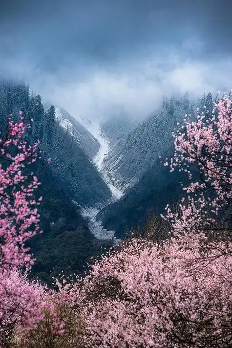 唯美文章关于人生感悟意境优美有深度的散文