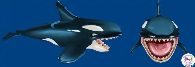 苔原猎人皮肤鲨鱼失落的大陆是小鱼人所有皮肤没有太大效果的一种,他