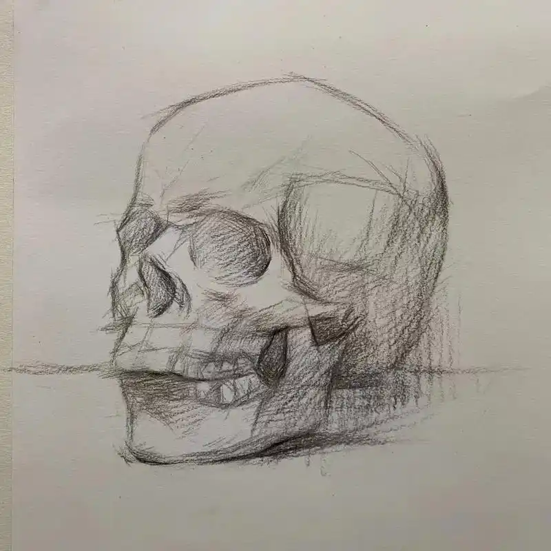 wzh- 王老师素描骷髅天教程#素描教程 #画画#画室 - 抖音