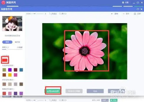 怎样在美图秀秀中修改花儿的颜色