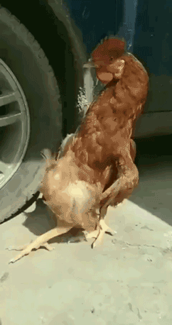 搞笑gif他这是在偷拍我吗为什么是这种表情