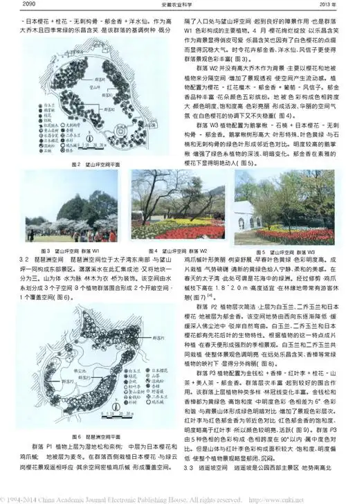 太子湾公园春季植物景观色彩分析docx6页
