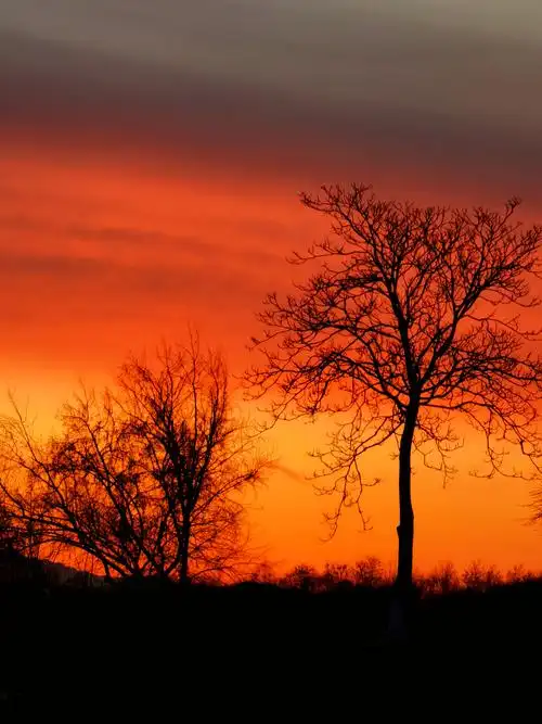 奇葩!冬季少见的晚霞美景