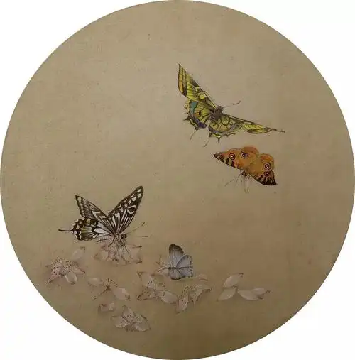 手绘-工笔-蝴蝶_伊斯里夫的画笔-站酷zcool