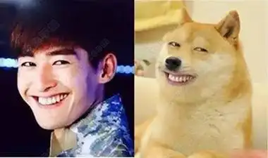 张翰表情包笑容 狗头-皮皮软