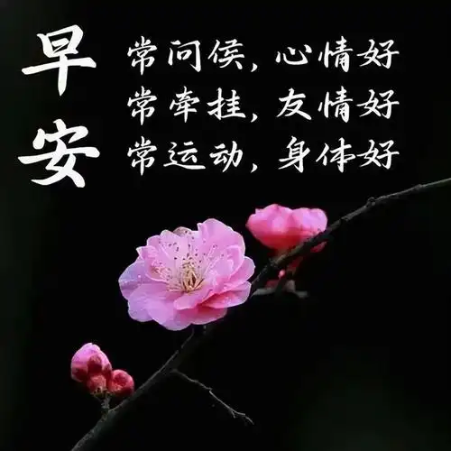 早上好,亲爱的朋友.
