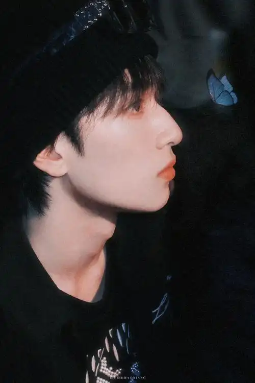 鼻子决定了颜值的上限#鼻骨微凸起 流畅海鸥线严浩翔本身就是颜值