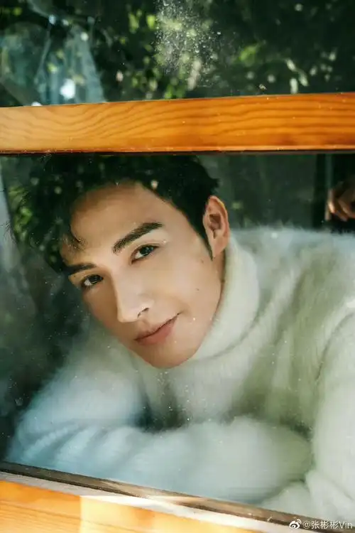 张彬彬11月行程图##张彬彬十一月行程图