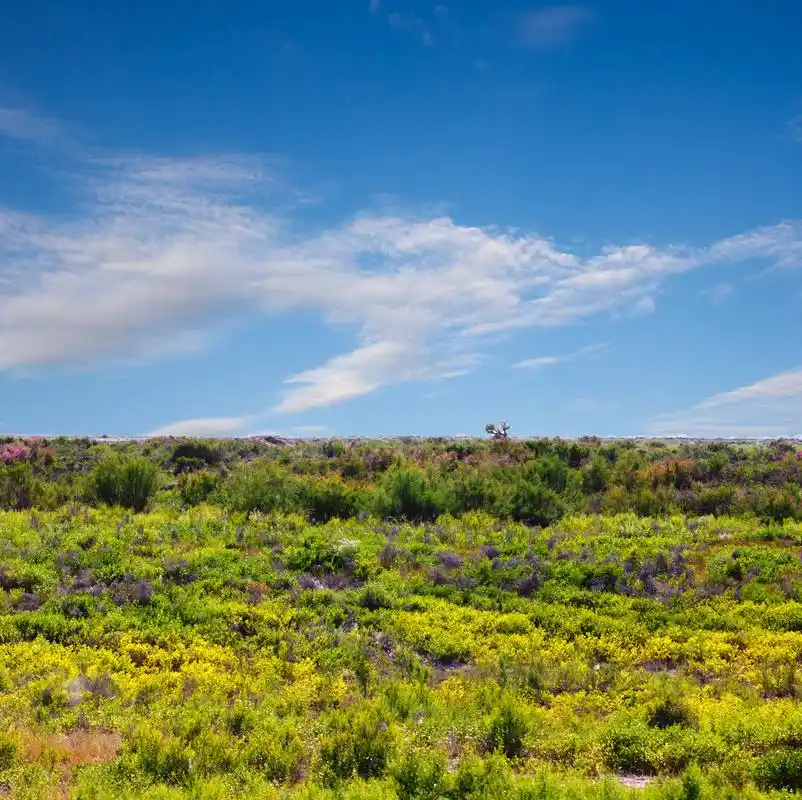 照片.,在哈萨克斯坦的干草原美丽的大自然