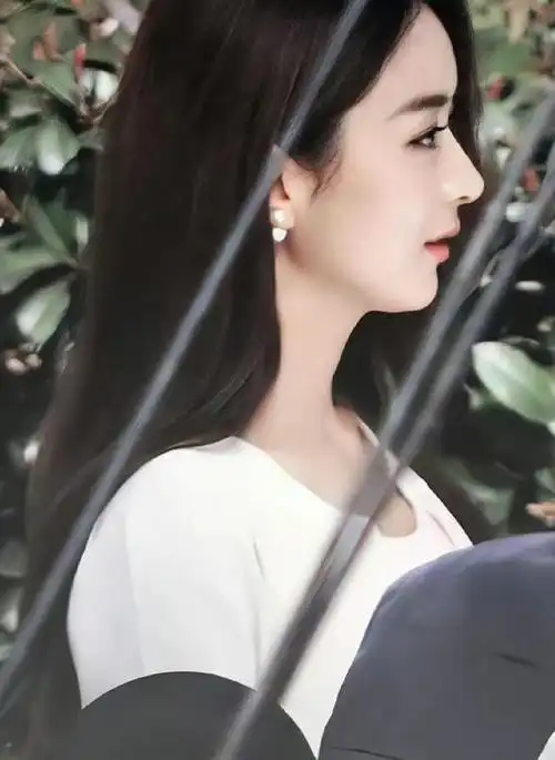 赵丽颖侧颜曝光,揭秘其完美"鼻型"!