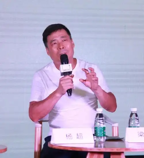 项目总策划人/艺术总监/西安美术馆馆长杨超介绍策划本次展览的初衷和