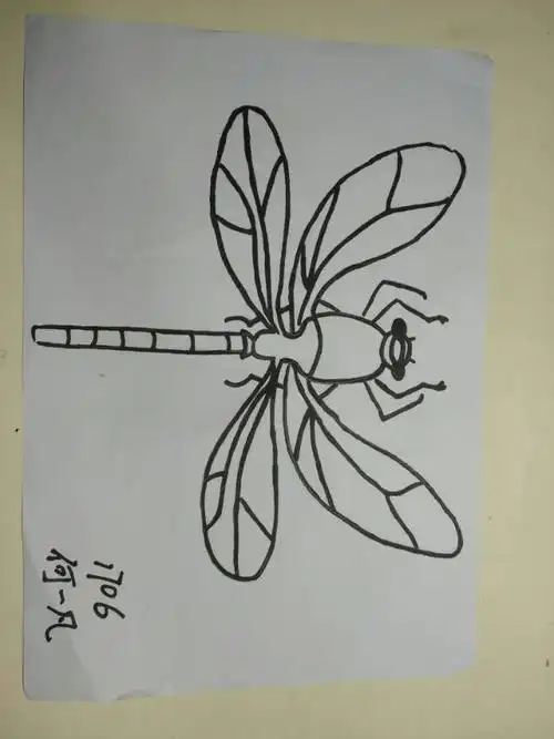 1706轴对称图形作品展