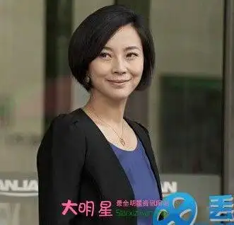 苏岩前夫陶经照片 苏岩前夫个人资料