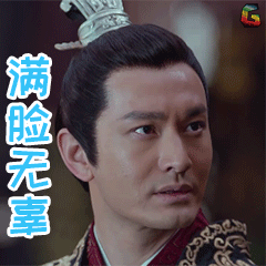 琅琊榜2黄晓明满脸无辜gif动图_动态图_表情包下载_soogif