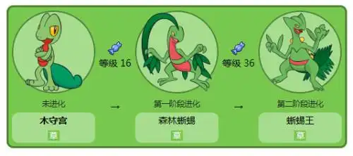 口袋妖怪漆黑的魅影木守宫几级进化成森林蜥蜴王