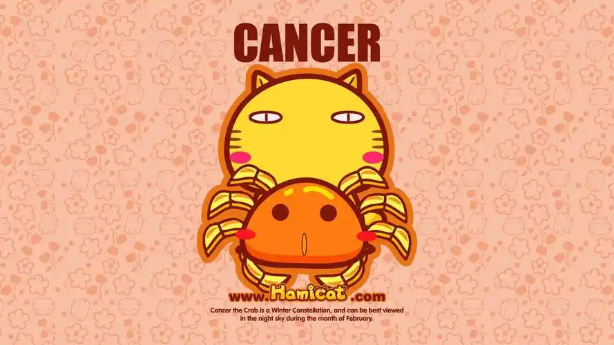 杂烩巨蟹座星座壁纸2