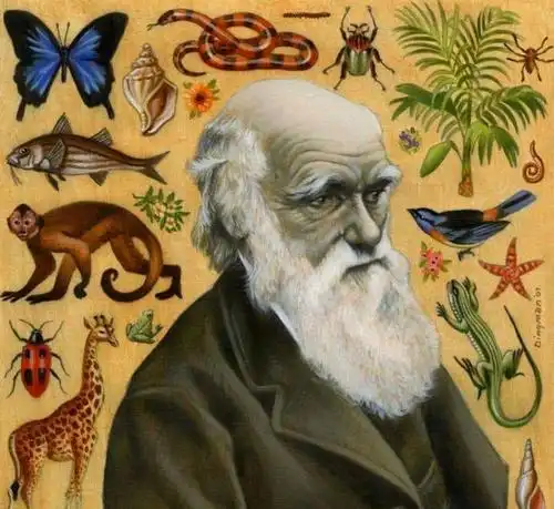 约翰的妻子写给达尔文的一首小诗,最美的奇迹也许只想窝在角落里