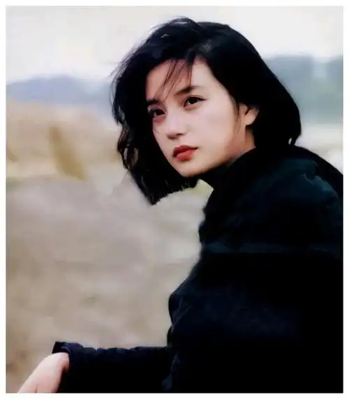 赵薇都做过哪些令人愤慨的事