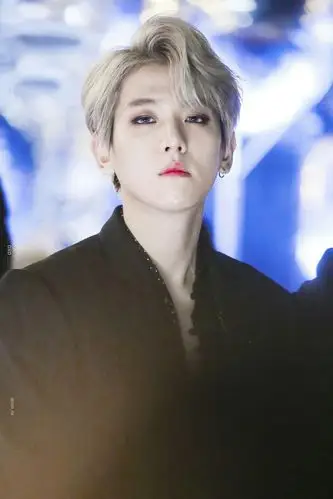 [病娇] 边伯贤 挚爱 (前世篇)②