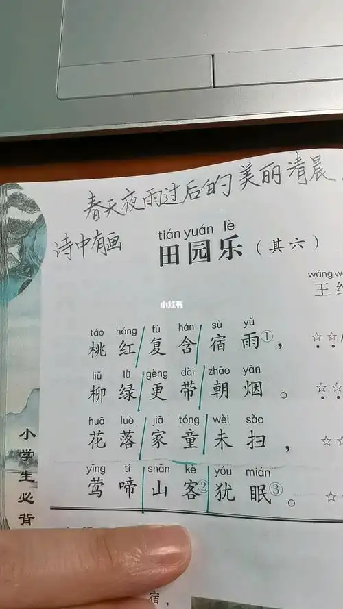 王维田园乐讲解视频