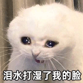 萌宠 猫咪 猫 哭 泪水打湿了我的脸 伤心