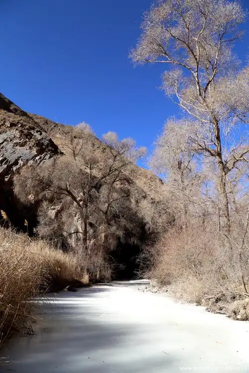 峡云笼树小,夕照倒影清-----首徒白杨河(风景篇)