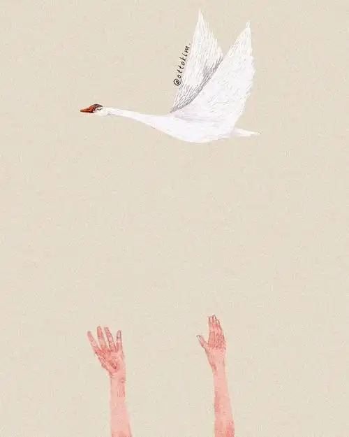 极简风格插画简单可以治愈心灵的繁复