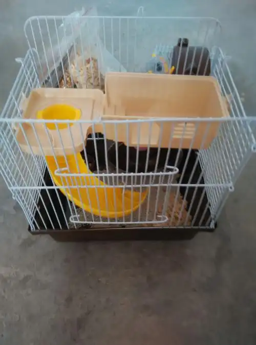 如题请问带小屋2层仓鼠笼子怎么布置一层只放锯末木削可以吗,浴沙放一