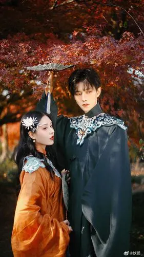 妖扬也是王敬轩鸭