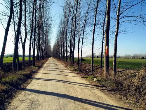 驻马店农村风光欣赏天蓝的夸张